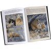 Mamíferos de Argentina, Tomo 3: Roedores [Mammals of Argentina, Volume 3: Rodents]
