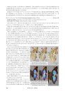 Emperor Butterflies of the World: An illustrated Monograph of the Subfamily Apaturinae [English / Japanese]