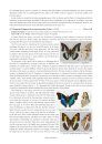 Emperor Butterflies of the World: An illustrated Monograph of the Subfamily Apaturinae [English / Japanese]