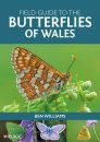 Field Guide to the Butterflies of Wales