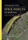 A Photographic Guide: Stick Insects of Borneo