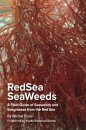 Red Sea Seaweeds