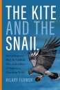 The Kite and the Snail