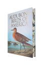 Audubon's Birds of America