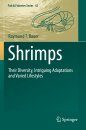 Shrimps