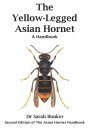 The Yellow-Legged Asian Hornet