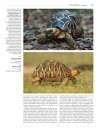 Handbook of the Reptiles of the World, Volume 1: Turtles and Crocodiles
