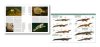 Handbook of the Reptiles of the World, Volume 1: Turtles and Crocodiles