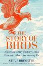 The Story of Birds