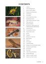 A Complete Guide to Reptiles of Australia