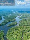 Rapid Biological and Social Inventories Report, Volume 32: Guyana: Acarai-Corentyne Corridor