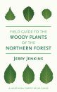 Field Guide to the Woody Plants of the Northern Forest