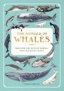 The Wonder of Whales