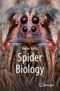 Spider Biology