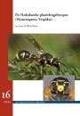 De Nederlandse Plooivleugelwespen (Hymenoptera: Vespidae) [The Dutch Vespidae Wasps]