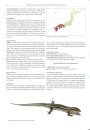 Reptiles and Amphibians of Japan