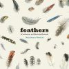 Feathers of Aotearoa