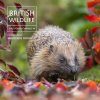 British Wildlife Photography Awards, Collection 14
