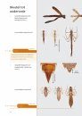 Handboek Libellenlarven en Hun Huidjes [Handbook to Dragonfly Larvae and Their Exuviae]
