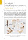 Handboek Libellenlarven en Hun Huidjes [Handbook to Dragonfly Larvae and Their Exuviae]