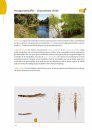 Handboek Libellenlarven en Hun Huidjes [Handbook to Dragonfly Larvae and Their Exuviae]