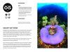 52 Assignments: Underwater Photography