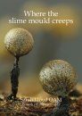 Where the Slime Mould Creeps