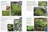 A Field Guide to Aquatic Plants