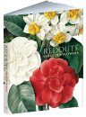 Redouté: Fabulous Flowers