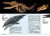 The Rise and Fall of Paleoorganisms at the Water's Edge [Japanese]