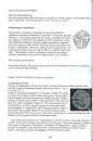 Microplankton in Norwegian Marine Waters