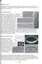 Microplankton in Norwegian Marine Waters
