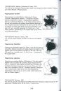 Microplankton in Norwegian Marine Waters