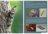 Handboek Motten: Alle Microvlinders van Nederland en België [Handbook of Moths: All Micro-Moths of the Netherlands and Belgium] (2-Volume Set)