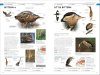 RSPB Birds of Britain and Europe