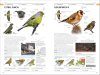 RSPB Birds of Britain and Europe