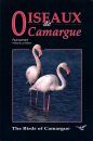 The Birds of the Camargue / Oiseaux de Camargue
