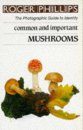 Common and Important Mushrooms