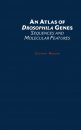 An Atlas of Drosophila Genes