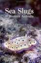 Sea Slugs of Western Australia