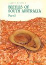 A Guide to the Genera of Beetles of South Australia, Part 5