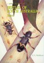 A Guide to the Genera of Beetles of South Australia, Part 6
