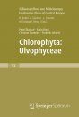 Süßwasserflora von Mitteleuropa, Bd 13: Chlorophyta: Ulvophyceae [English]