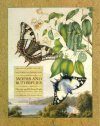 Historical Drawings of Moths and Butterflies