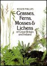Grasses, Ferns, Mosses and Lichens of Great Britain and Ireland
