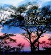 Bushveld Trees: Lifeblood of the Transvaal Lowveld