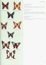 Butterflies of the Neotropical Region, Part 6