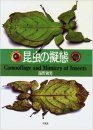 Camouflage and Mimicry of Insects [Japanese]