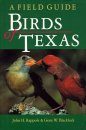 Birds of Texas: A Field Guide