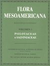 Flora Mesoamericana, Volume 1: Psilotaceae a Salviniaceae [Spanish]